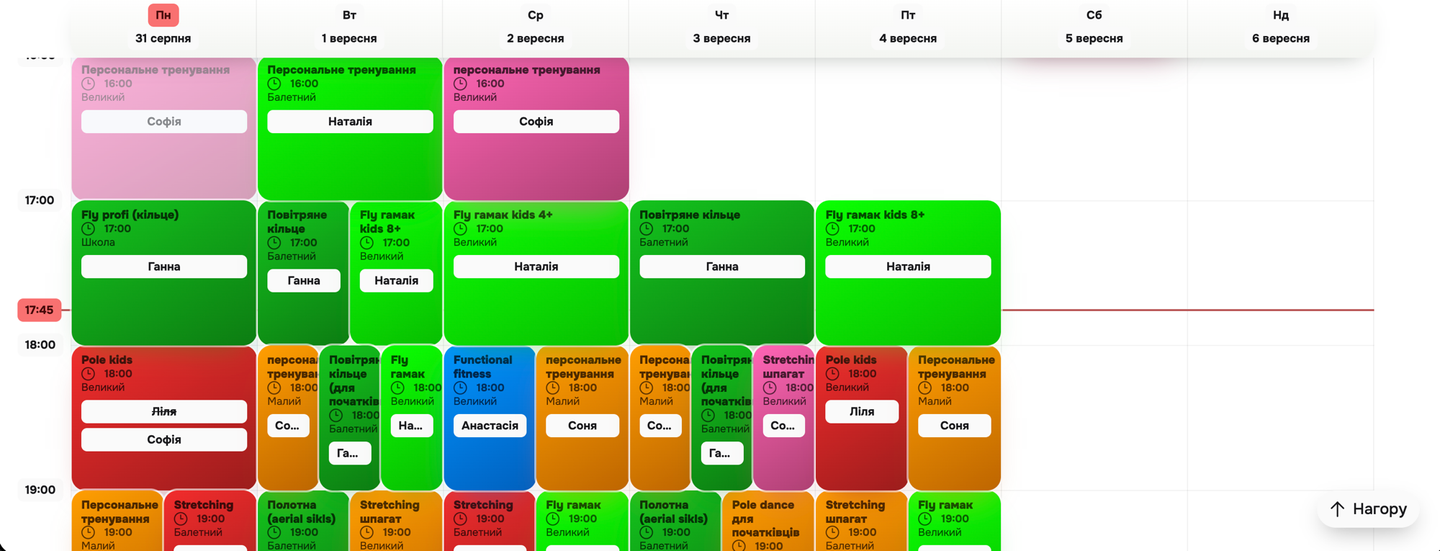 Class schedule in Fitshandler: a week laid out by room and coach